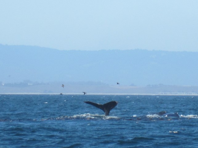 IMG_3359_Cropped.jpg